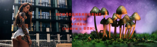 а пвп мука Гусь-Хрустальный