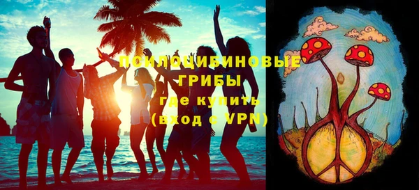 а пвп мука Гусь-Хрустальный