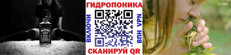Бошки марихуана конопля  Купить закладки  Кандалакша 
